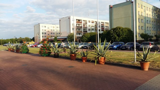 20170525_192627
