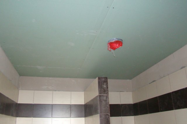 DSC00384