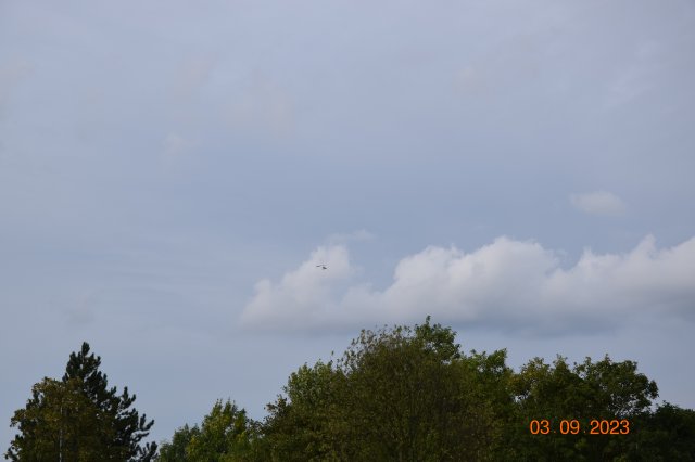 DSC_0564