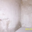 100_1052