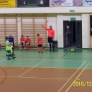 113_5135