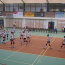 DSC-04515