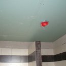 DSC00384
