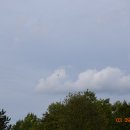 DSC_0564