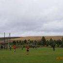 DSC_0954